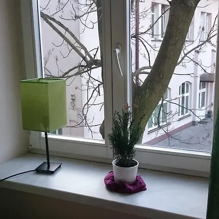 Apartament Avocado *
